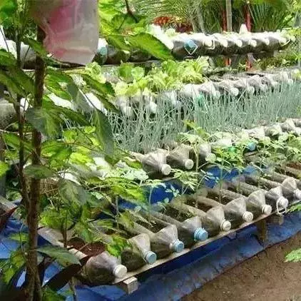 空油桶不要扔,在家就能吃到自己種的新鮮蔬菜,網友這樣剪上兩刀, 就能變成種菜神器