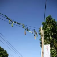 高跟鞋教堂可以辦婚禮了 10對新人搶先體驗
