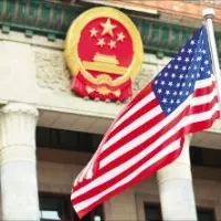 咬爛衛生紙面壁阿金超哀怨 網友笑:原諒牠啦!