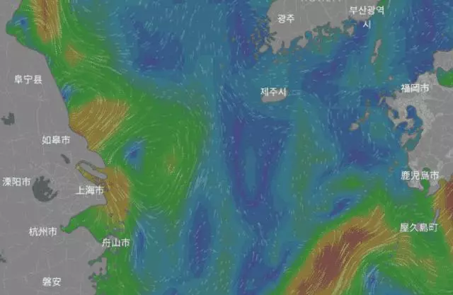 在沒有遇上粉絲之前,你是不知道扇貝跑得有多快