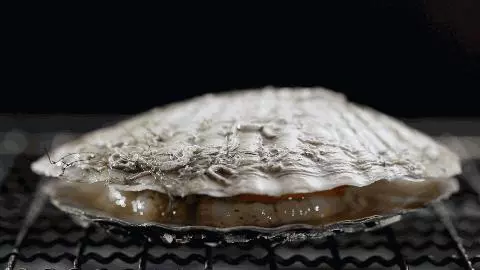 在沒有遇上粉絲之前,你是不知道扇貝跑得有多快
