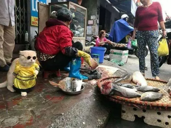 爆紅賣魚攤貓老闆的另一個身分是警察 私底下的穿搭根本走在時尚的尖端