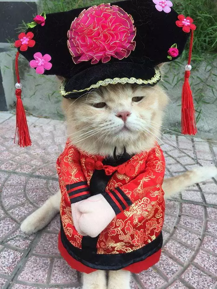 爆紅賣魚攤貓老闆的另一個身分是警察 私底下的穿搭根本走在時尚的尖端