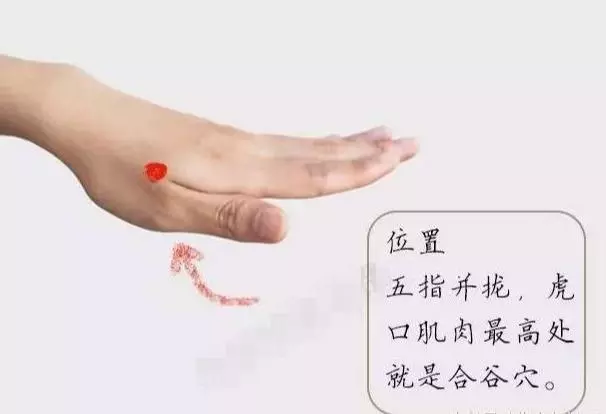 10大養生穴位,附高清穴位圖,十分難得!受用一生,收藏了吧