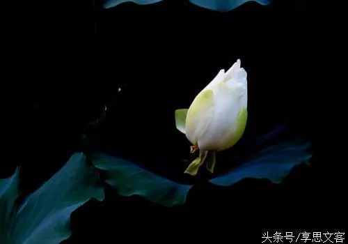 佛說:你現在吃的苦,便是以後享的福