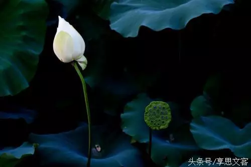 佛說:你現在吃的苦,便是以後享的福