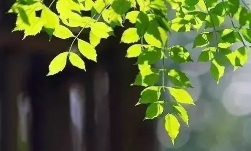「氣」決定您的壽命!