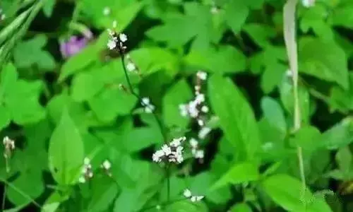 「氣」決定您的壽命!