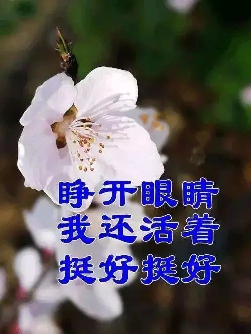 「氣」決定您的壽命!