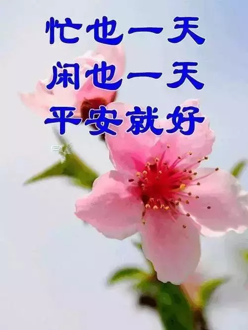 「氣」決定您的壽命!