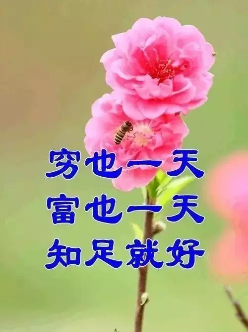 「氣」決定您的壽命!