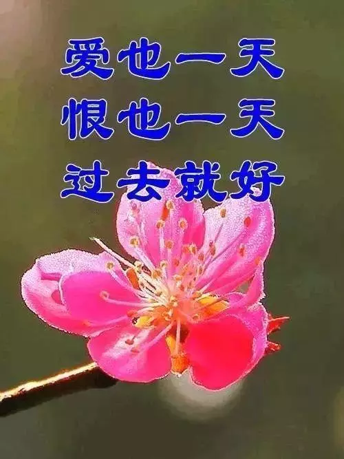 「氣」決定您的壽命!