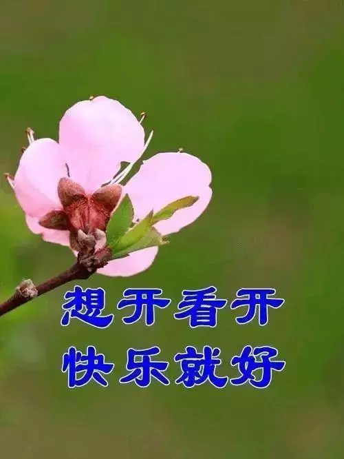 「氣」決定您的壽命!