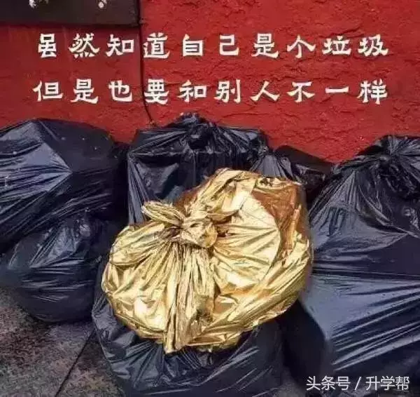 哈佛大學發現:20個快樂習慣!你最好與價值觀相近的人在一起!