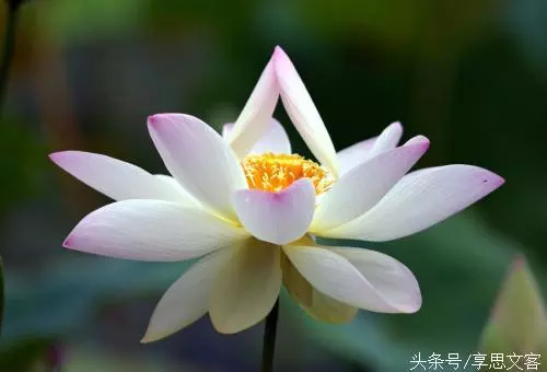 佛說:你現在所經歷的磨難,都是上天的恩賜