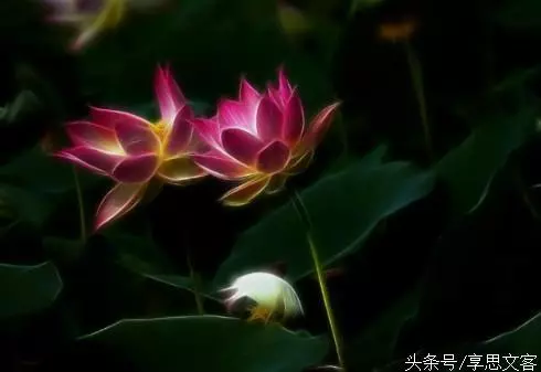佛說:你現在所經歷的磨難,都是上天的恩賜