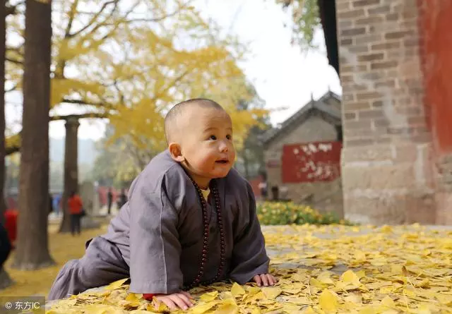 記住這八句話,人生越來越順,寫的很到位