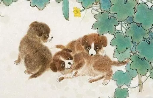 傻人有傻福,未來一個月,好運成雙的5個生肖!