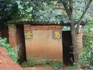 新婚夜婆媽非要讓我喝湯,覺得怪,喝完去廁所時,才發現她禽獸