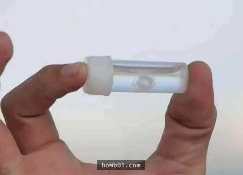 即使出動轟炸機,澳洲人對上兔子們的這場戰爭,還是沒打贏!