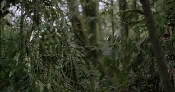 屠殺美軍特種部隊,還將屍體剝皮掛起,那個恐怖的殺神又回來了!