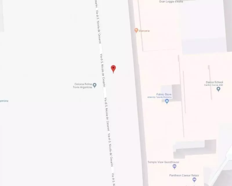 羅馬「Google街景」藏彩蛋 一轉身超大喵喵頭:還不快問安~