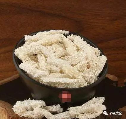 99%的人只拿它洗碗,卻不知道它拿來養花超省錢!