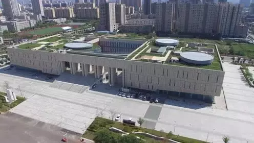 比巴掌還大!世界最大蚊子25.8公分 破金氏紀錄