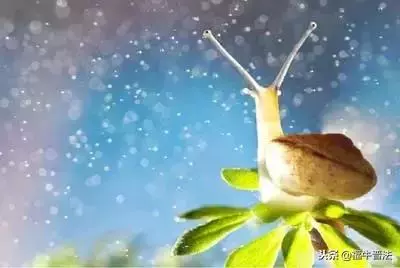 60個生活好習慣,細節決定美好生活!