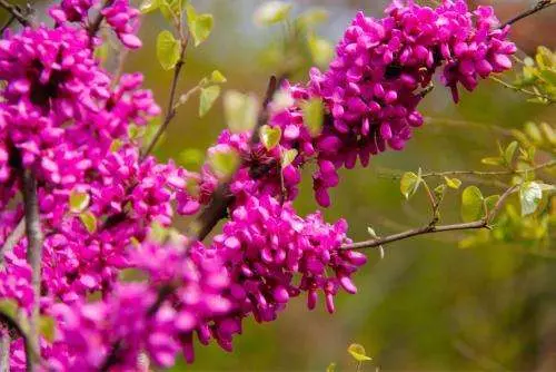 11月8號、9號、10號內,天天數鈔票, 日日賺錢忙的5大生肖!