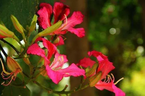 11月8號、9號、10號內,天天數鈔票, 日日賺錢忙的5大生肖!
