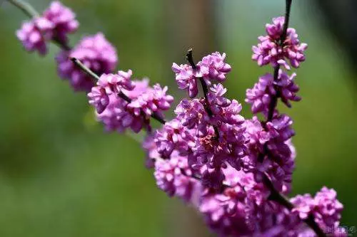 11月8號、9號、10號內,天天數鈔票, 日日賺錢忙的5大生肖!