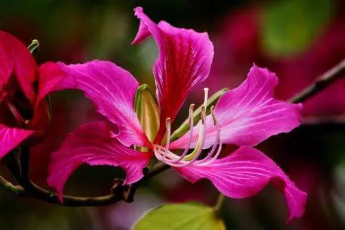 11月8號、9號、10號內,天天數鈔票, 日日賺錢忙的5大生肖!