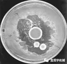 科學史上最「意外」的發明,講真,天上真的會掉餡餅