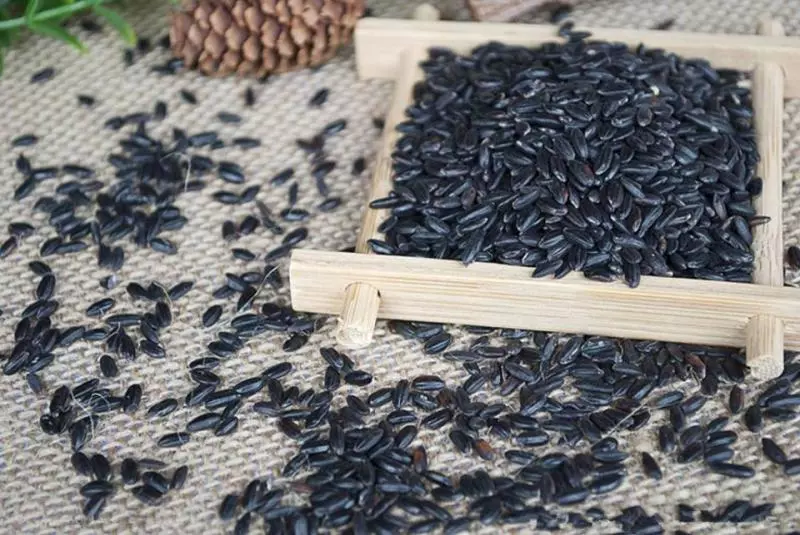 黑米有什麼養生效果?如何食用黑米更好?看完你就懂了