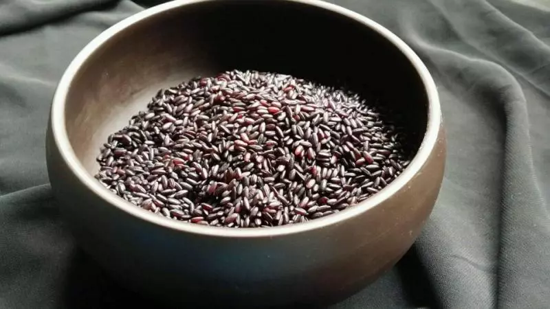 黑米有什麼養生效果?如何食用黑米更好?看完你就懂了