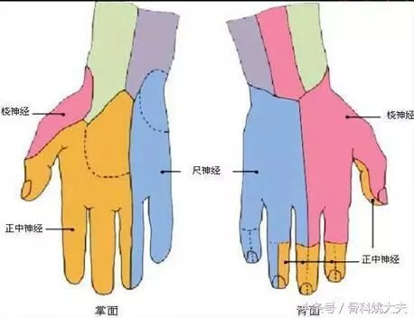 手指麻木怎麼辦?手指麻木的病因是什麼?醫生告訴你答案