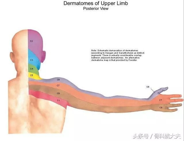 手指麻木怎麼辦?手指麻木的病因是什麼?醫生告訴你答案
