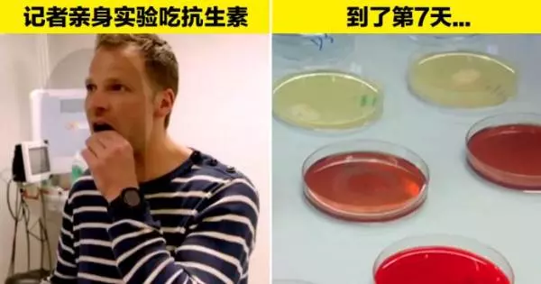 實驗證明 「抗生素對人體殺傷力很大」 每服用一次要365天才有機會恢復