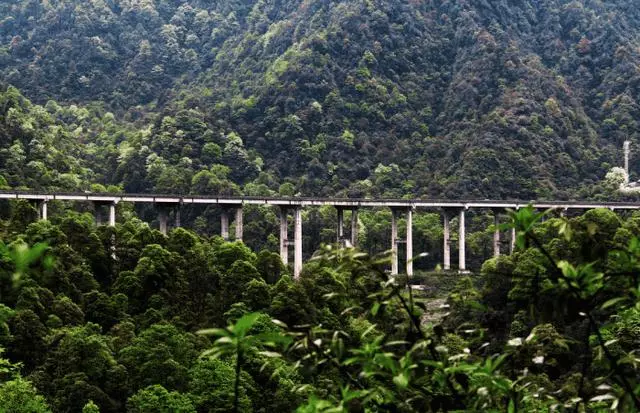 中國一條逆天高速!240km全程高架,外國專家:唯有中國才能做到