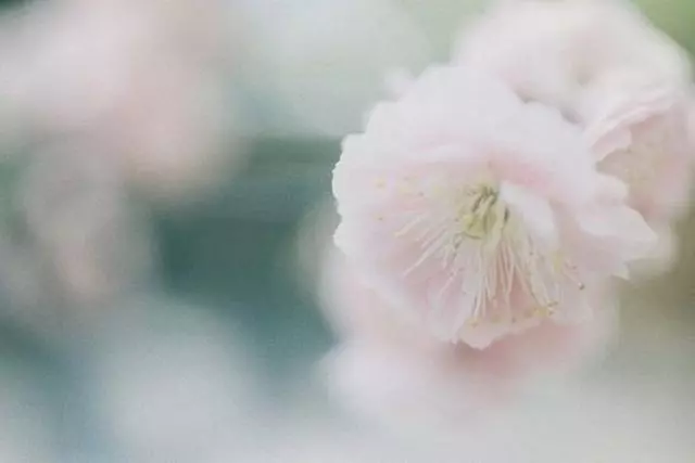 老公去世後,女子嫁初戀,三年後她得癌症,初戀掀開床墊後她蒙了
