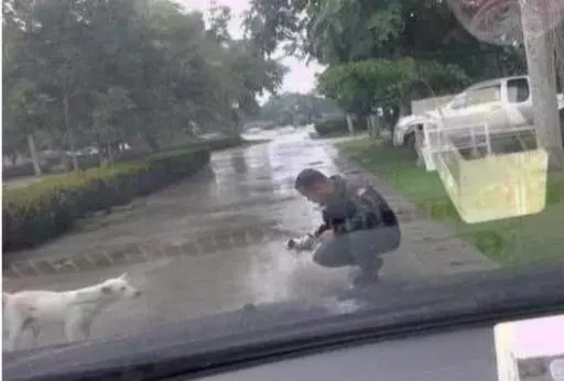 流浪狗攔停警車,怎麼樣都不肯離去,警察下車後淚目