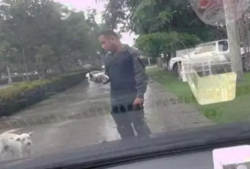 流浪狗攔停警車,怎麼樣都不肯離去,警察下車後淚目