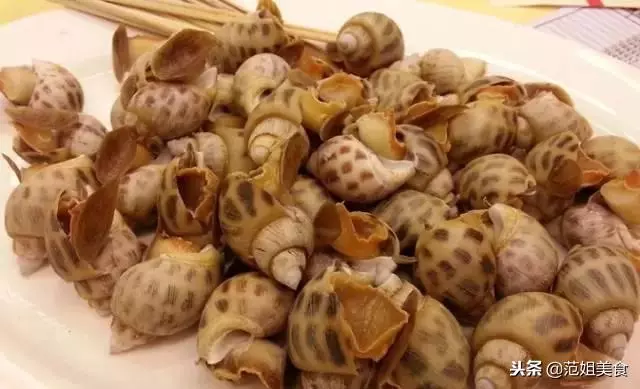 20道海鮮佳肴,再也不用只吃肉肉了,最後一道流光了我的口水