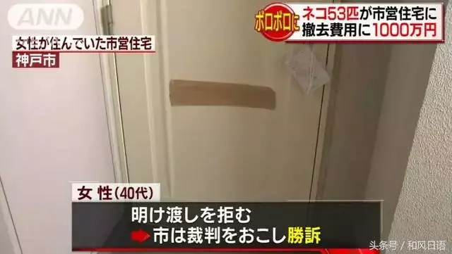 這個日本人在家裡偷偷養了53隻貓,房東要求賠償1000萬