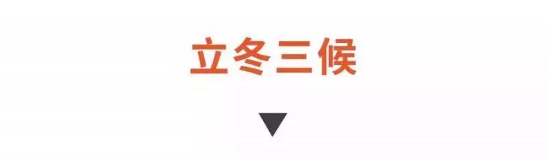 立冬養生全攻略!做好這幾樣,趕走寒氣,一年安康