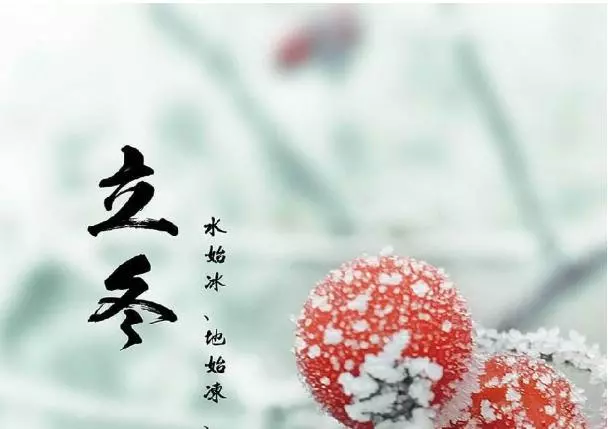 立冬後飲食以補「黑」為主?冬天「養精蓄銳」,專家給你支四招
