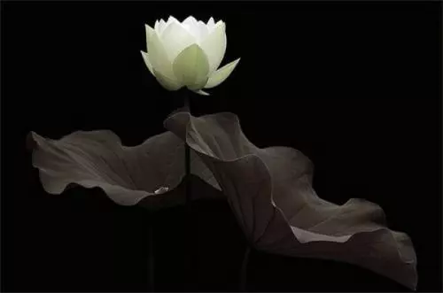 讓你認識自己的5條法則(改變你的一生)