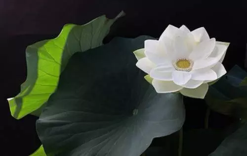 讓你認識自己的5條法則(改變你的一生)