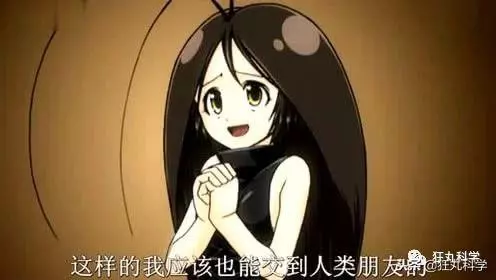 你吃飯前燙碗筷嗎?這種廣東人的謎之風俗,真的有用嗎?